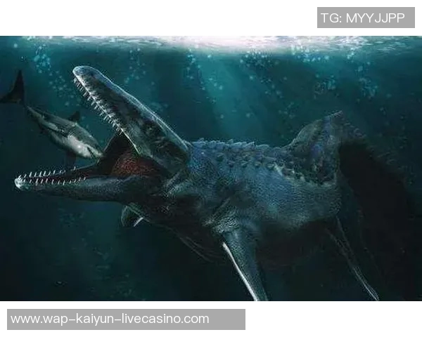 剑鱼与鲨鱼的海洋对决谁才是真正的海洋霸主